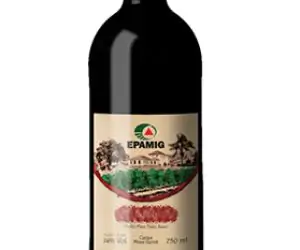Viinho Tinto Syrah