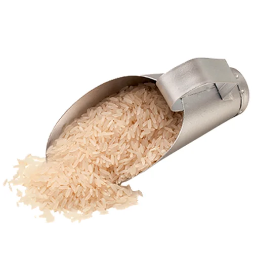 sementes_arroz