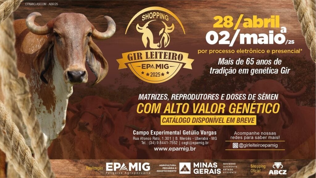shopping_gir_leiteiro_2025_imagem_destacada