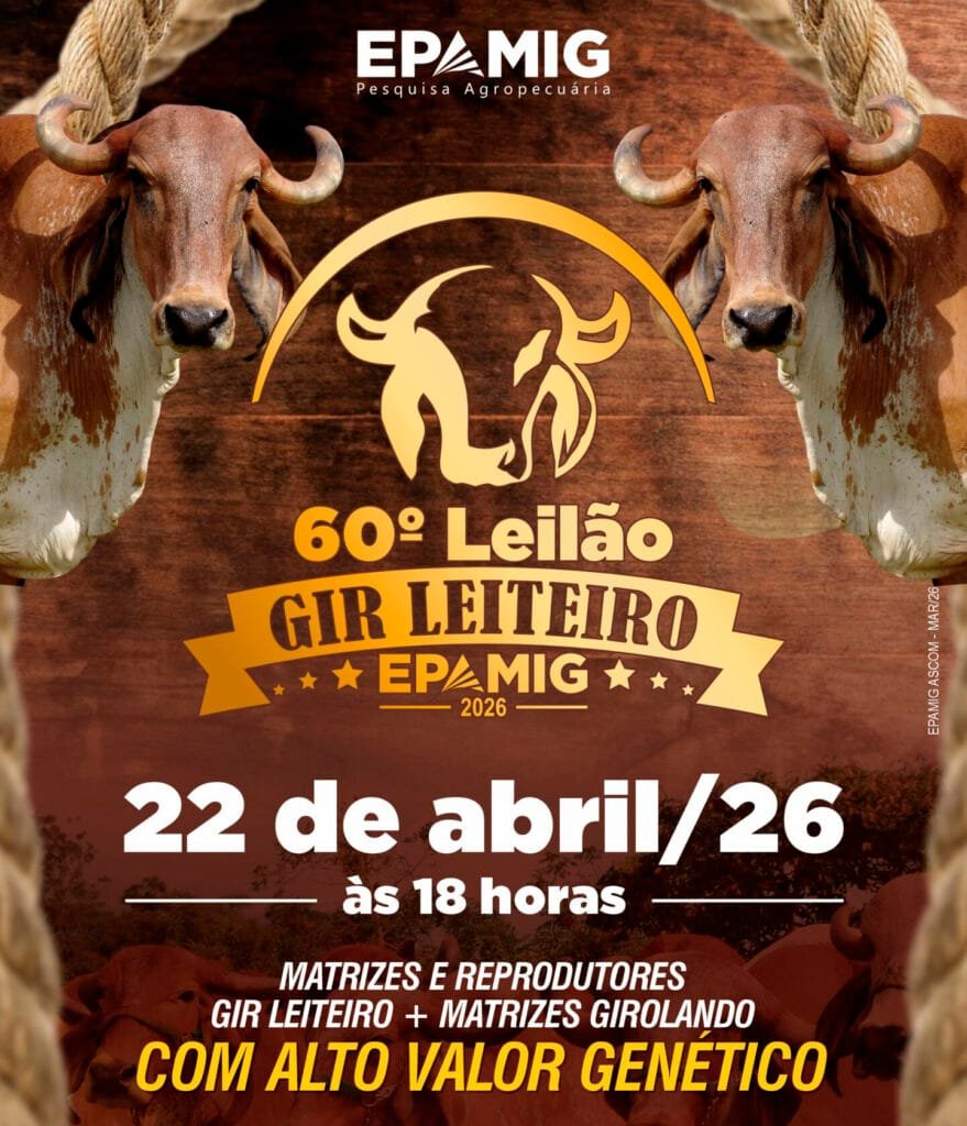 shopping_leilao_gir_leiteiro_2026