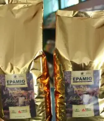 Café grão ouro gourmet
