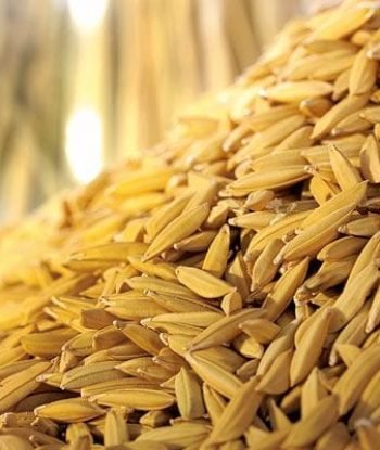 Arroz BRSMG Rubetina