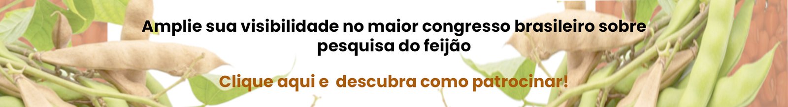 banner seja um patrocinador v2