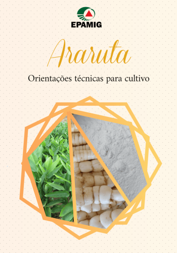 Araruta