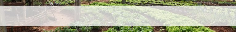 banner1