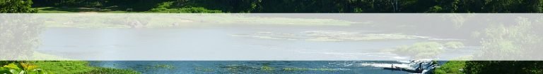 banner5