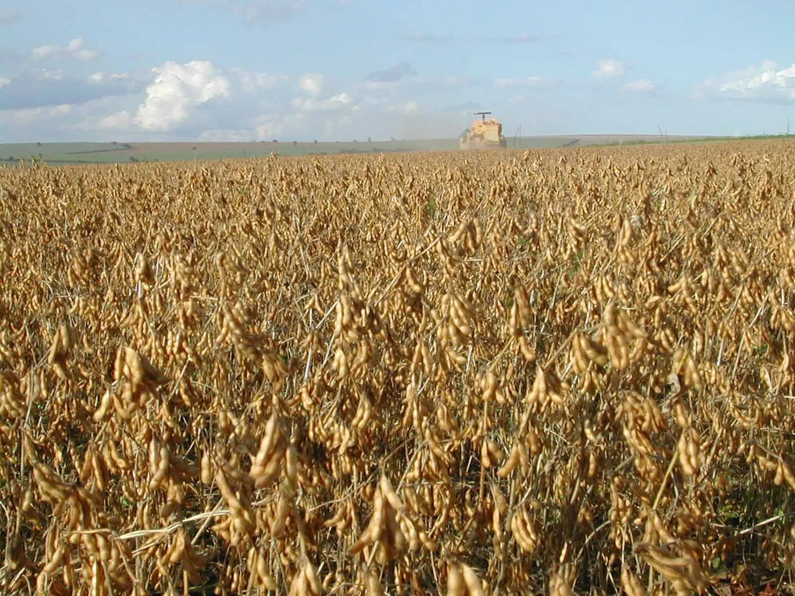 26197731_527936967564406_9011283156236139187_o