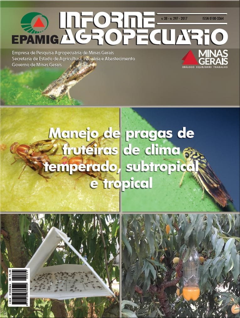 Capa IA 297