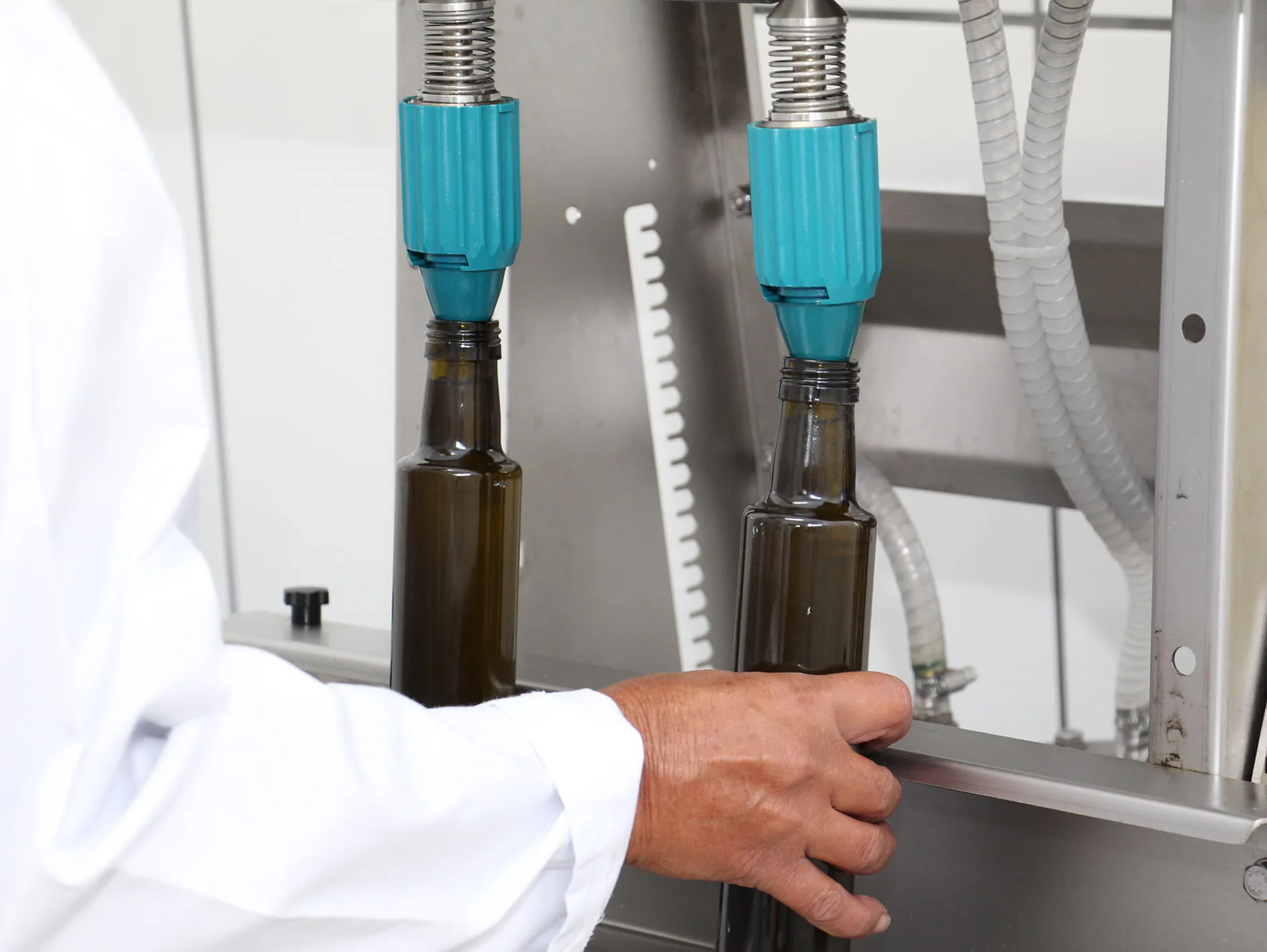 IMG_7574 Produção de azeite extravirgem na região deve ser superior a 80 mil litros em 2018 - Crédito Erasmo Pereira