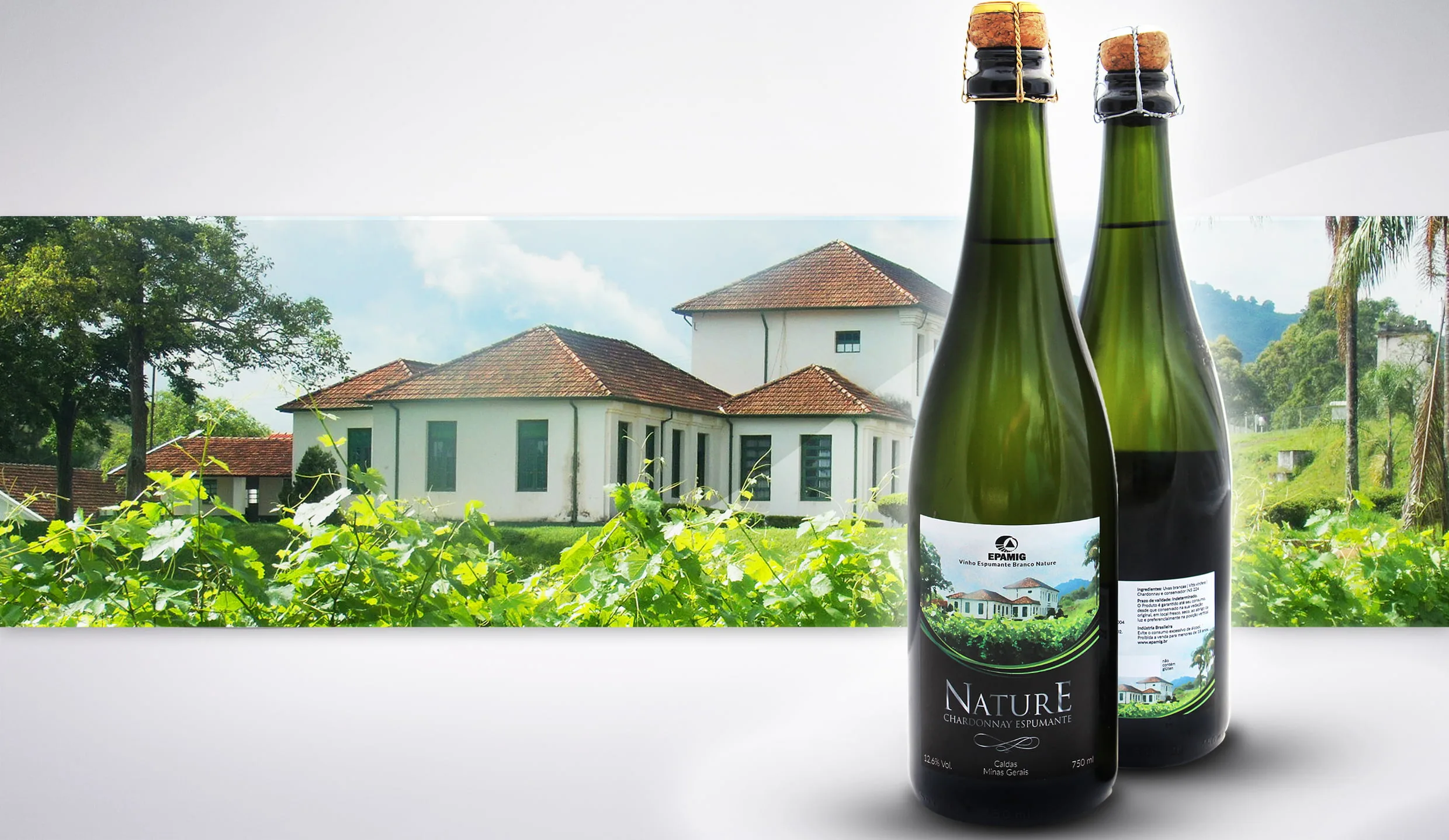 img_espumante_facebook