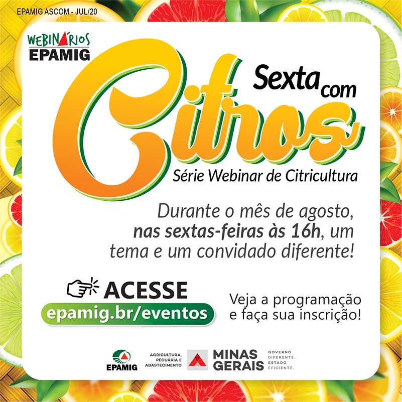 Sexta com citros