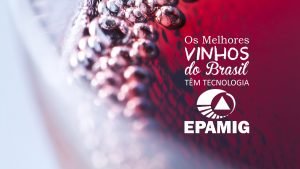 Pesquisa em vinhos