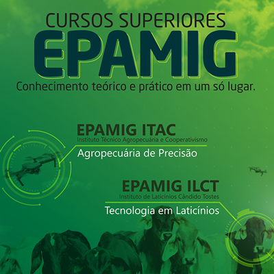 ensino-tecnologico