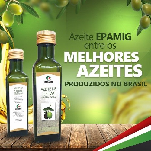 extracao-de-azeites