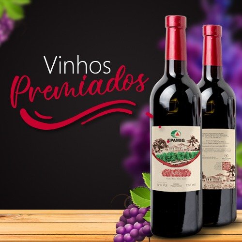 vinificacao