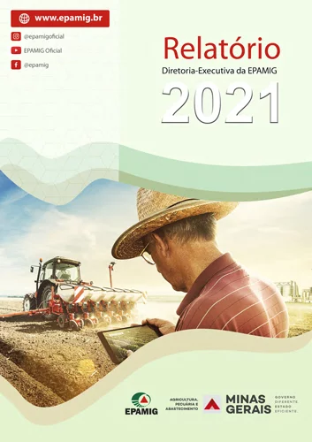 Relatório DREX 2018