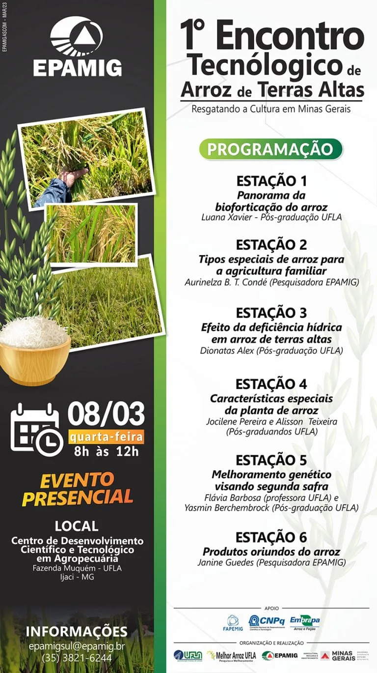 Dia de Campo Arroz de Terras Altas