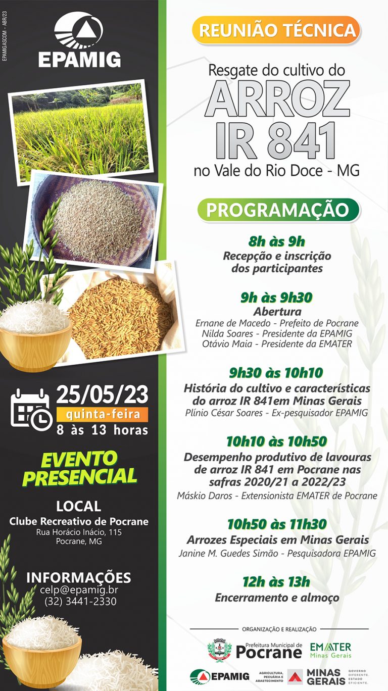 Reunião Técnica – Resgate do Cultivo do Arroz IR 841 no Vale do Rio Doce