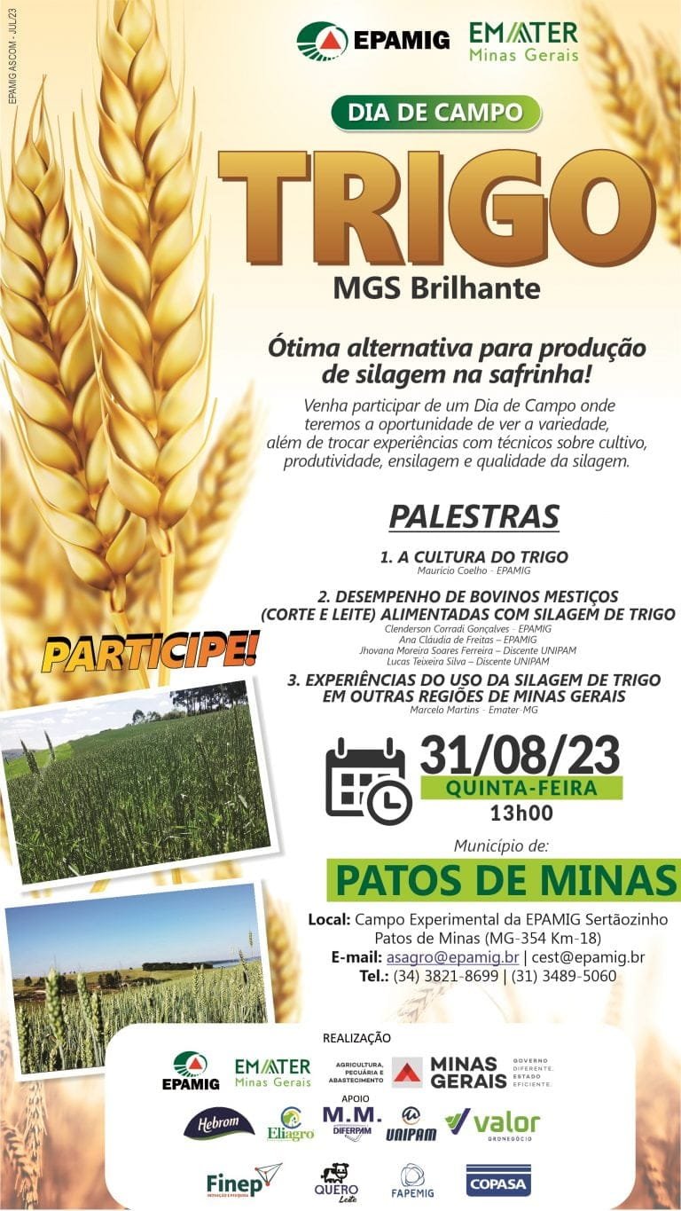 Dia de Campo de Trigo – Patos de Minas