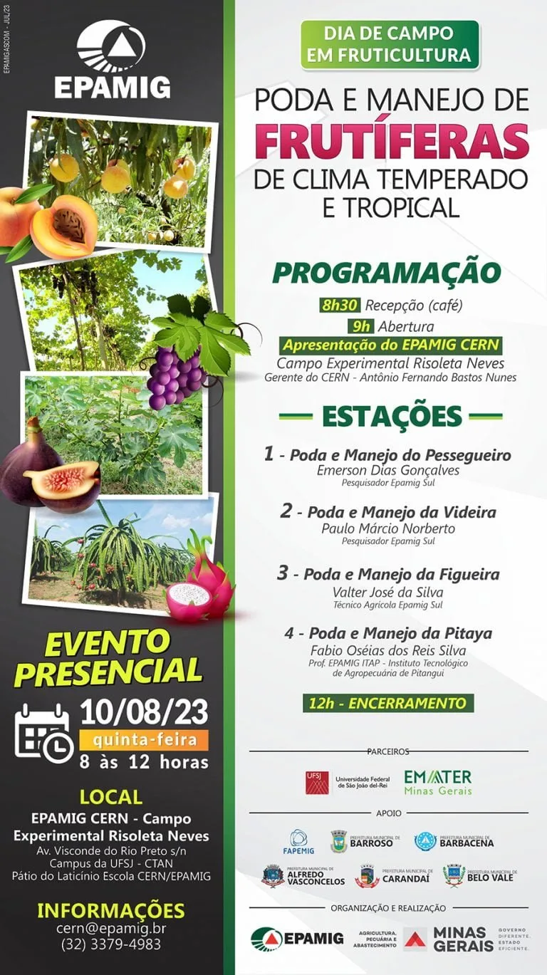 dia_de_campo_fruticultura_poda_e_manejo_2023