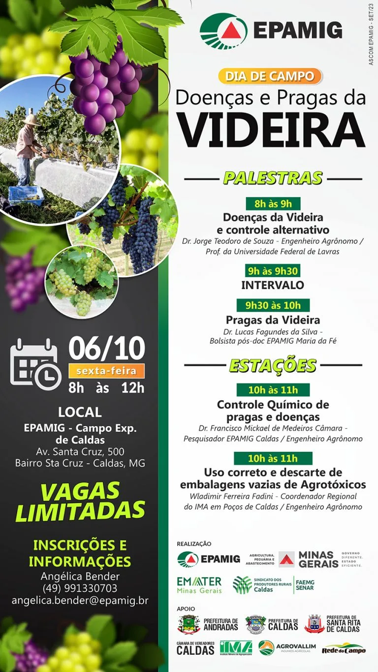 Dia de Campo de Doenças e Pragas da Videira