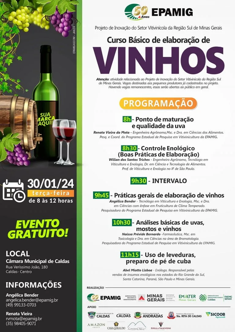 Curso Básico de Elaboração de Vinhos