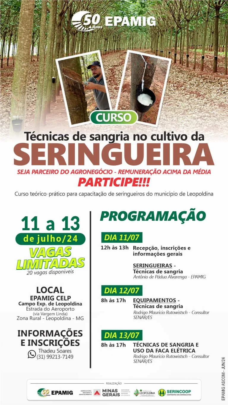 Curso – Técnicas de sangria no cultivo da seringueira