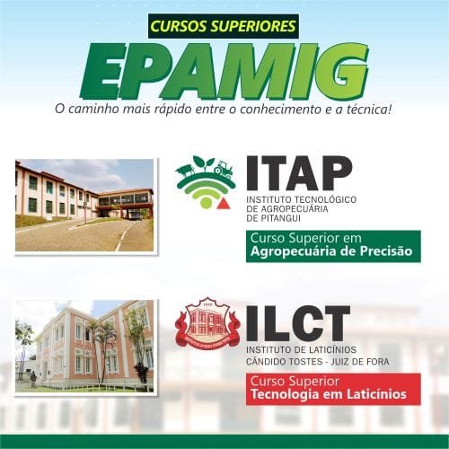 Ensino Tecnológico