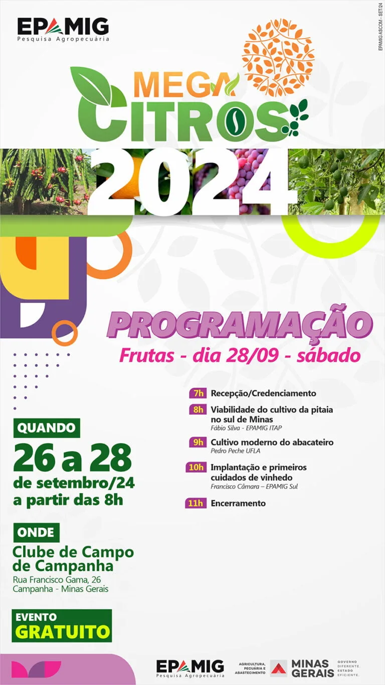 Mega Citros 2024 – Tema Frutas
