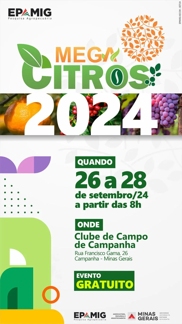 Mega Citros 2024
