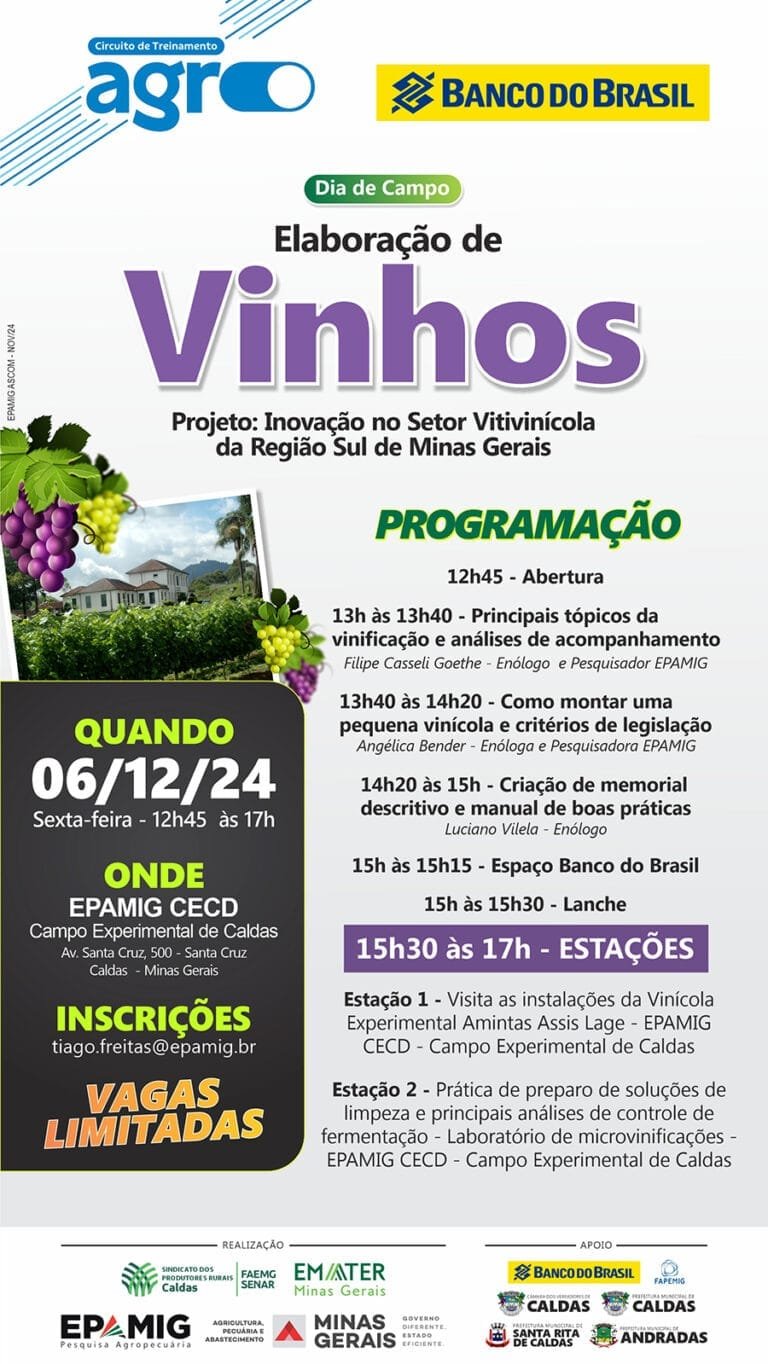Dia de Campo – Elaboração de Vinhos