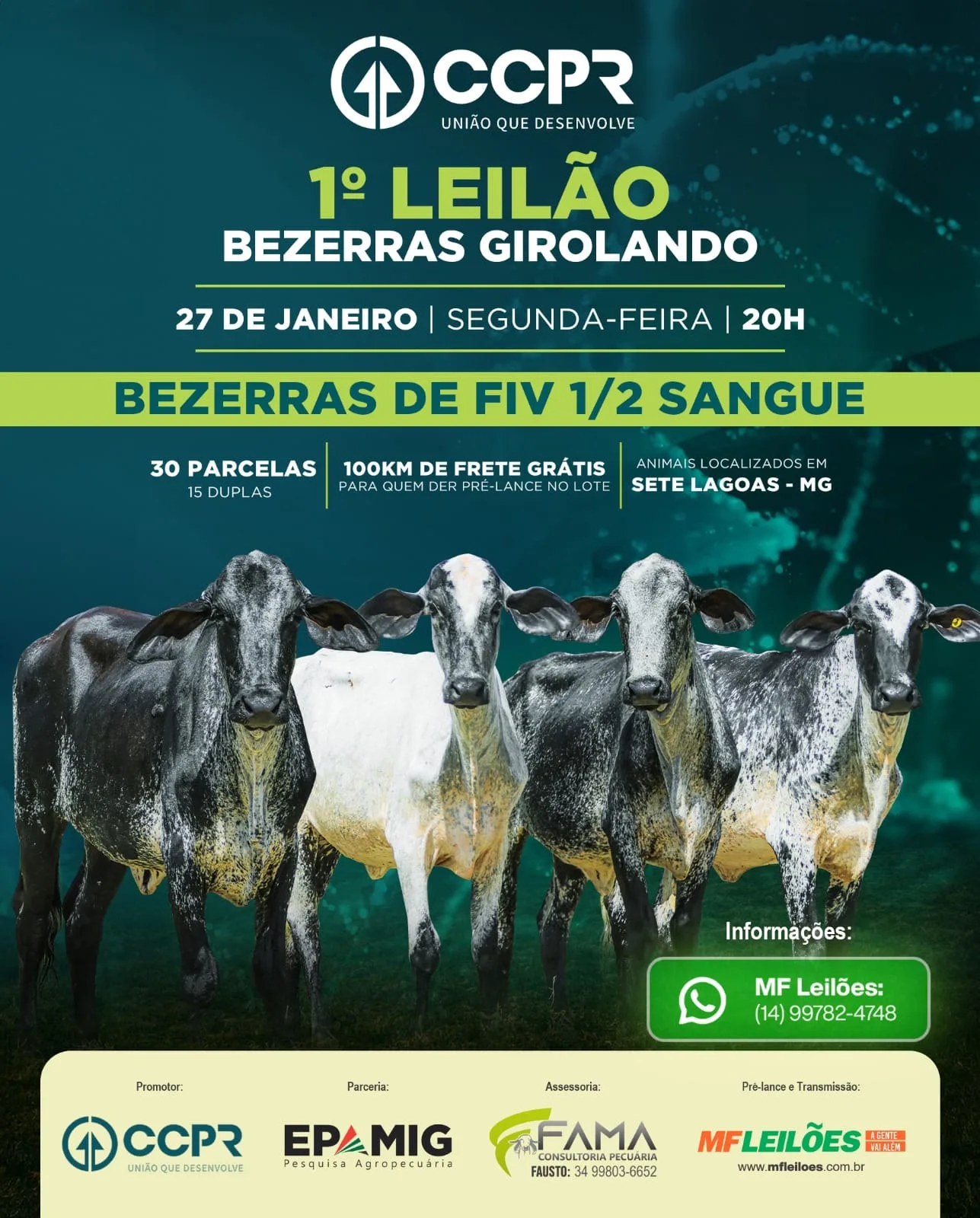 Leilao CCPR .jpg