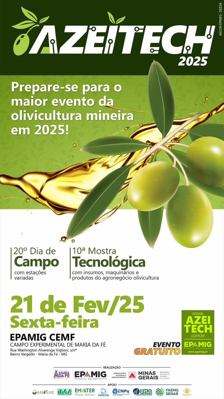 Azeitech 2025