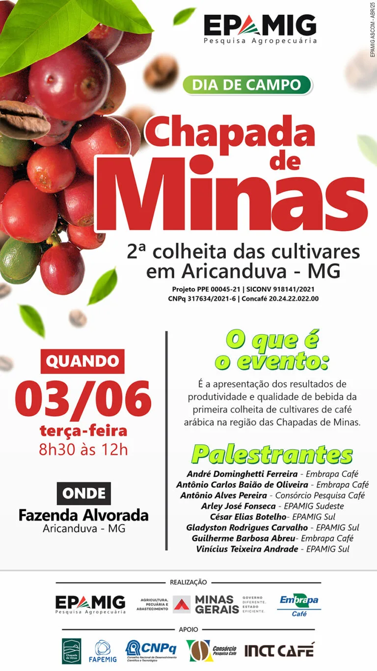 Dia de Campo – Chapada de Minas – 2ª Colheita de cultivares em Aricanduva – MG