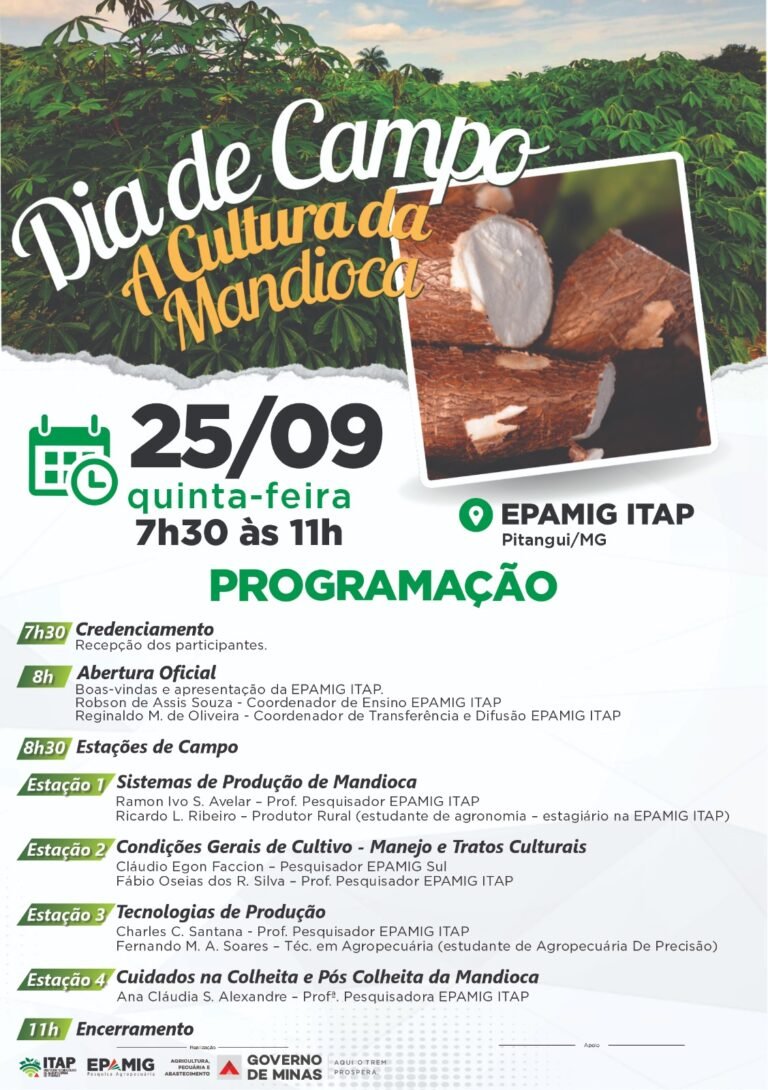 Dia de Campo – Cultura da Mandioca