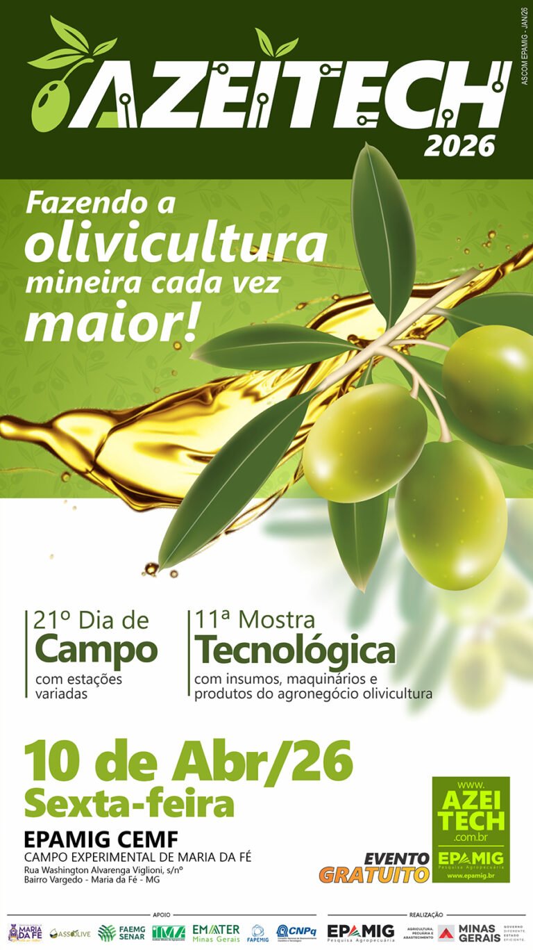Azeitech 2026