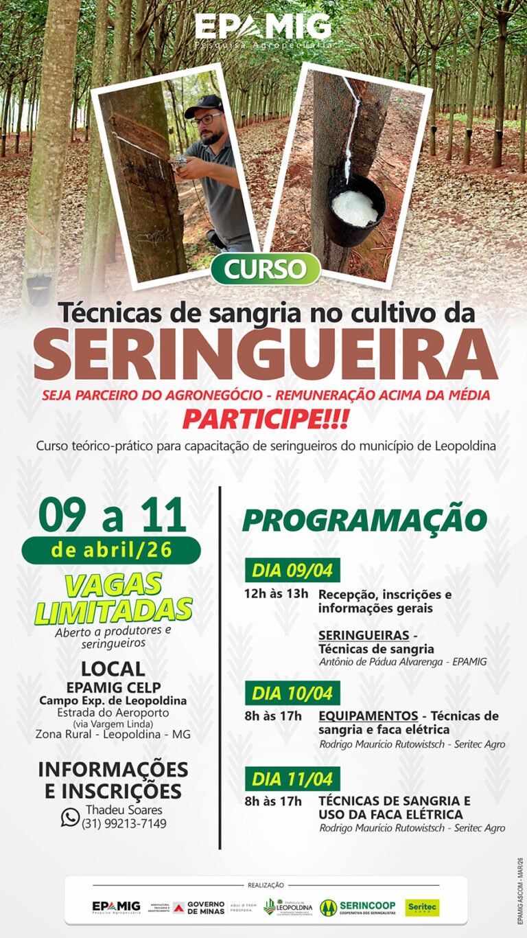 curso_tecnicas_sangria_cultivo_seringueira_2026_whatsapp