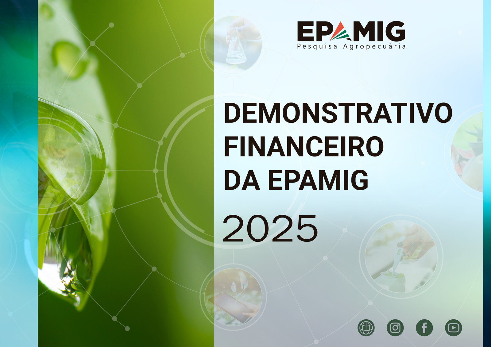 Demonstrativo Financeiro 2025