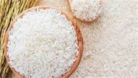Arroz BRSMG Predileta