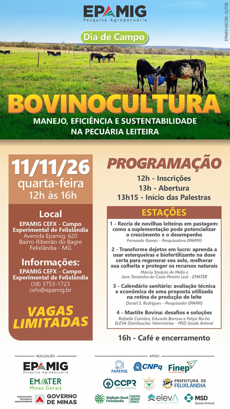 dia_de_campo_bovinocultura_manejo_eficiencia_2026_CARTAZ