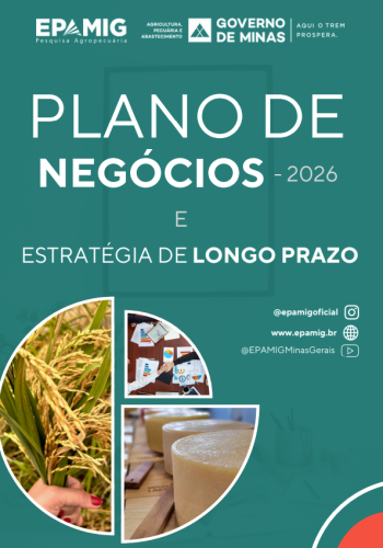 Capa Plano de Negócios Anual 2026