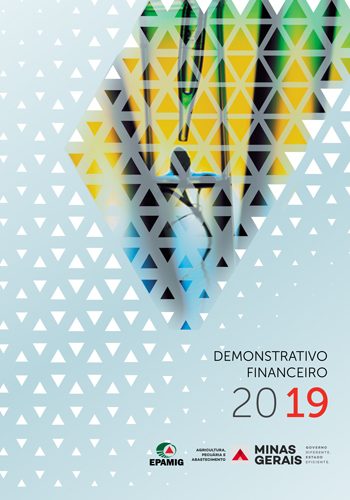 Demonstrativo Financeiro 2019