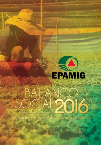 https://www.epamig.br/wp-content/uploads/2022/11/balanco_social_2016.pdf