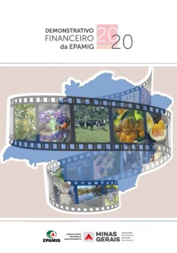 Demonstrativo Financeiro 2020