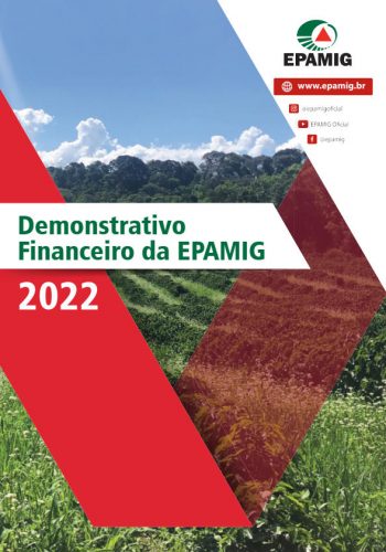 Demonstrativo Financeiro da EPAMIG 2022