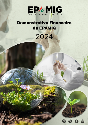 Demonstrativo Financeiro 2024