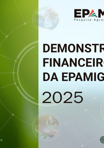 Demonstrativo Financeiro 2025