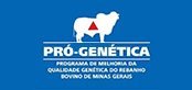 Pró-genética